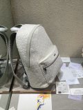 Dior Lady