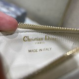Dior Caro