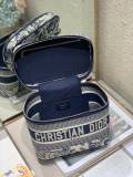 Dior oblique