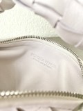 BV Bag67 28×23×8CM