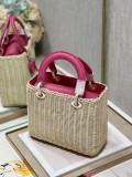Dior M9989 Wicker 24x20x11cm