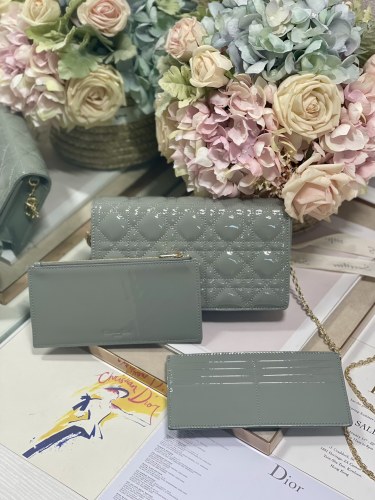 Dior M77037 21.5 x 11.5 x 3cm