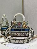Dior M9027 24x20x11 cm