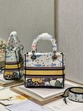 Dior M9027 24x20x11 cm