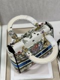 Dior M9027 24x20x11 cm