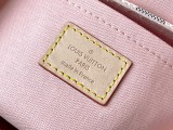 Borsa Croisette N41581  24 x 17 x 9.5