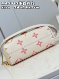 Borsa Favorite M45813 24 x 14 x 9 cm