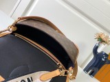 Borsa Diane M45985 M46049 24 x 15 x 9 cm