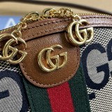 Borsa a spalla Ophidia GG misura piccola Modello 499621