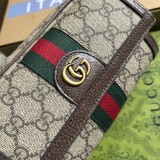 Mini borsa Ophidia GG Modello 746308