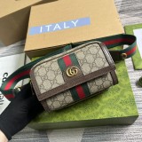 Mini borsa Ophidia GG Modello 746308