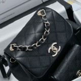 Borsa CC AS4398 21.5X19.5X12cm