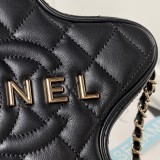 Borsa CC  AS4579 22.5X6cm