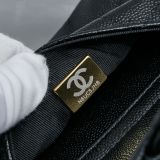 Borsa CC AS4398 21.5X19.5X12cm