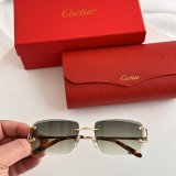 Occhiali Cartier P165