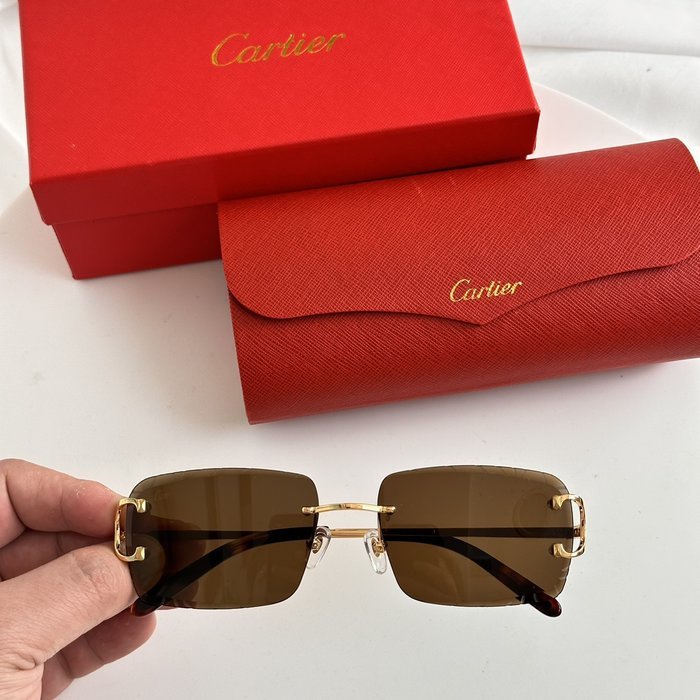 Occhiali Cartier P165