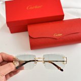 Occhiali Cartier P165