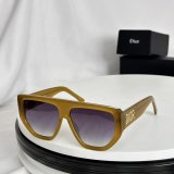 Occhiali Dior P175