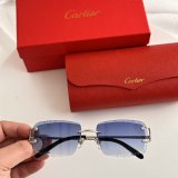 Occhiali Cartier P165