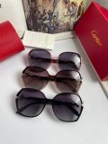 Occhiali Cartier P100