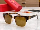 Occhiali Cartier P185