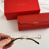 Occhiali Cartier P165