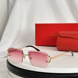 Occhiali Cartier P165