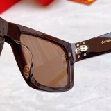 Occhiali Cartier P175