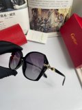 Occhiali Cartier P100