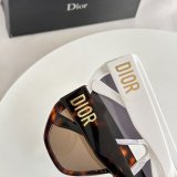Occhiali Dior P175