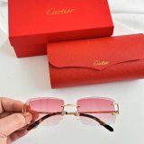 Occhiali Cartier P165