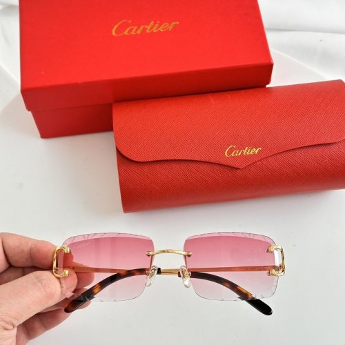 Occhiali Cartier P165