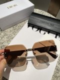 Occhiali Dior P105