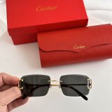 Occhiali Cartier P165