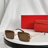 Occhiali Cartier P165