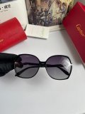 Occhiali Cartier P100