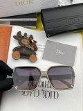 Occhiali Dior P110
