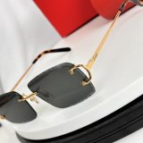 Occhiali Cartier P165
