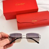 Occhiali Cartier P165