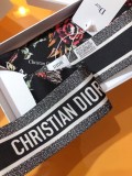 Sciarpe Dior