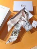 Sciarpe Dior