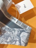 Sciarpe Dior