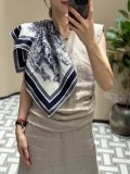 Sciarpe Dior