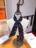Sciarpe Dior