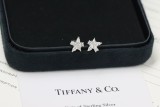Gioielli Tiffany&Co.