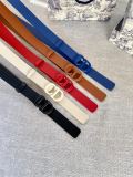Cintura Dior 3.0cm