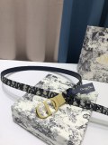 Cintura Dior 2.0cm