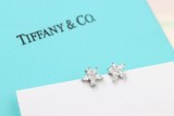 Gioielli Tiffany&Co.