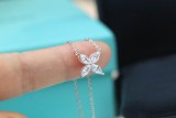 Gioielli Tiffany&Co.