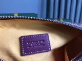 GOYARD Boeing  020215 25x12x12cm